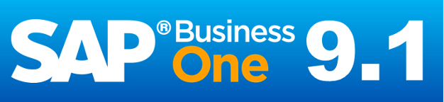 SAP_Business_One_9.1