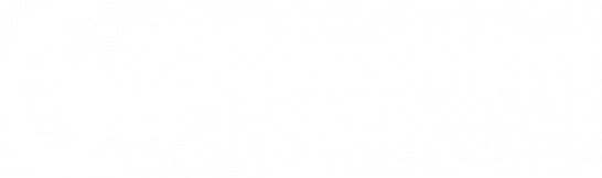 Consilient Logo