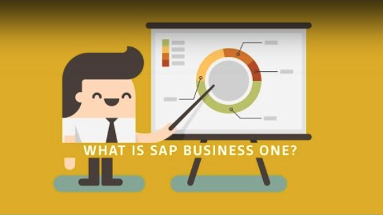 What Is SAP Business One Video