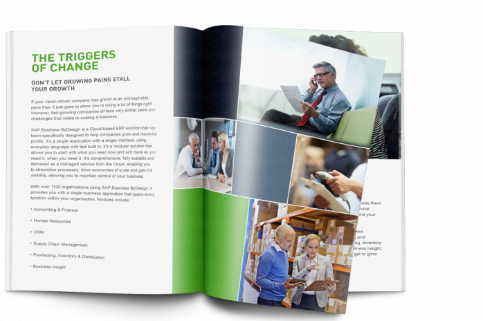 sap business bydesign ebook