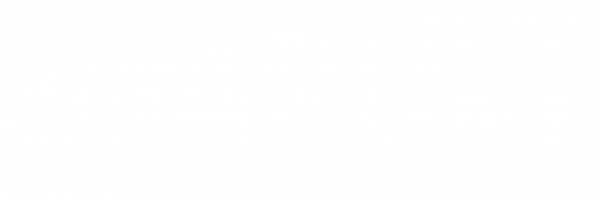 TS Catapult Logo