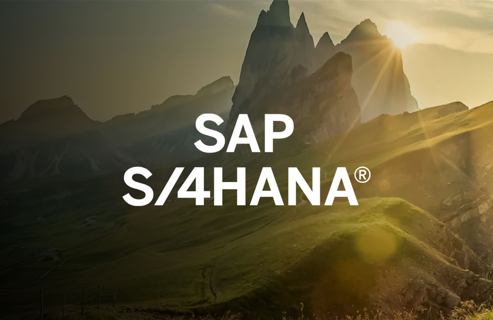 s/4hana