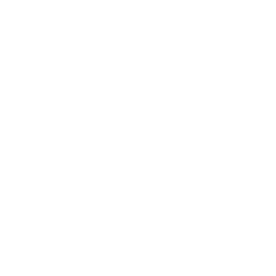Big Bus Logo