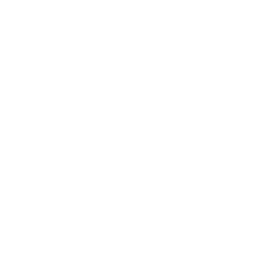 big bus