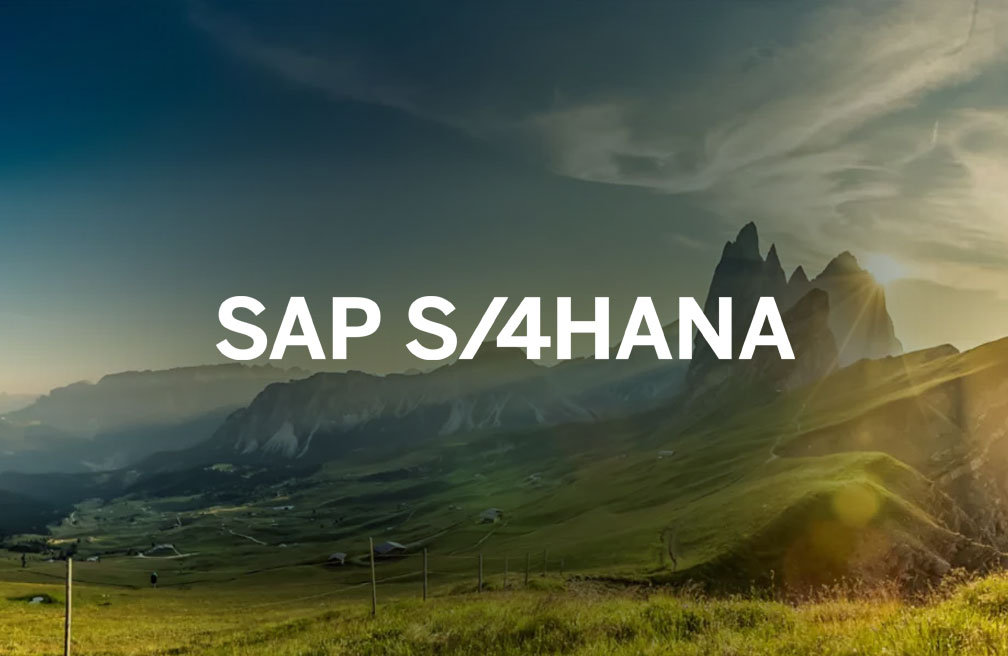SAP S/4HANA Cloud Public Edition